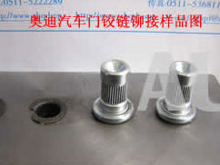 鉚接機(jī)用于奧迪汽車門(mén)鉸鏈（愛(ài)德廈）
